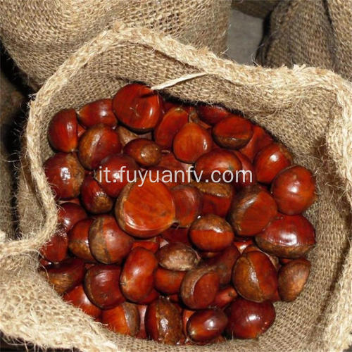 Tipi di castagne cinesi a base di noci di castagno